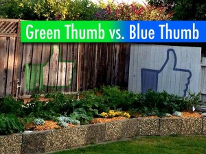 Green Thumb vs. Blue Thumb